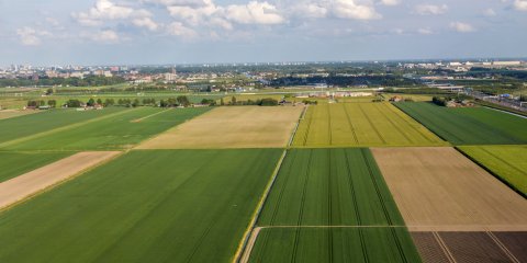 Regelgeving scheuren grasland