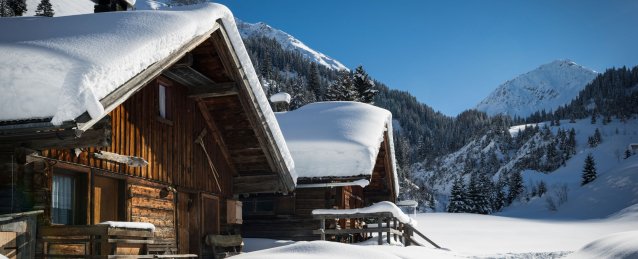 11832e2d-32d2-4ee7-b9ed-c832cbefee30