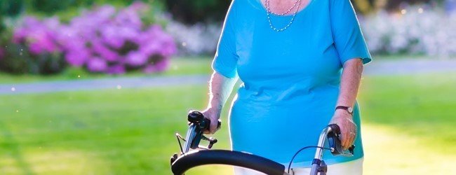 Kamervragen bestrijding constructies BOR