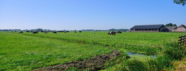 Voorwaarden vrijstelling overdrachtsbelasting vrijwillige kavelruil