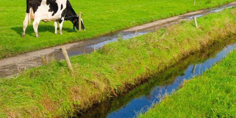 Verbouwing voor rekening bv was uitdeling van winst aan dga
