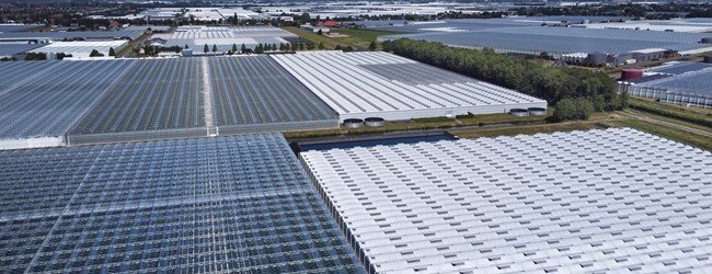 Kabinetsreactie evaluatie energie-investeringsaftrek 