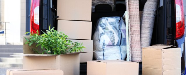 59477a43-cae3-4a39-b888-1b6e2747a2eb