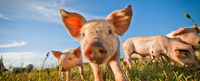 83fd38c7-cc05-420f-814f-d539c69bd738