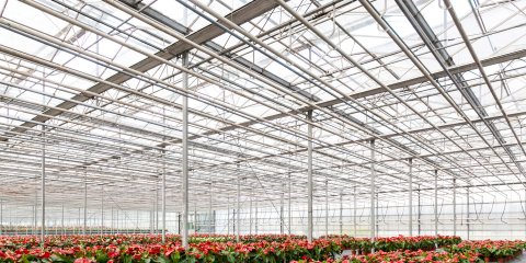 Fiscale klimaatmaatregelen glastuinbouw