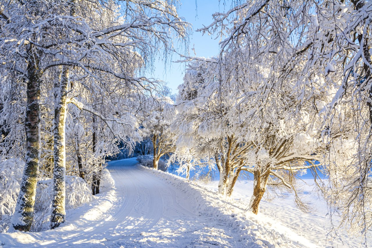Grond opknippen in postzegelperceeltjes