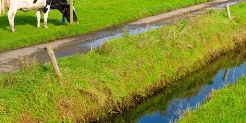 Verbouwing voor rekening bv was uitdeling van winst aan dga