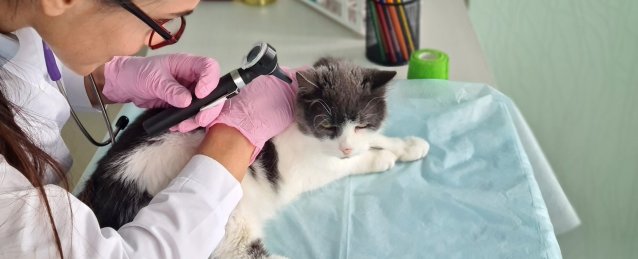 d14c1060-de0d-4619-a04c-f41c7d31ff30