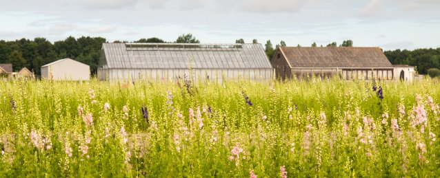 da44d11e-eda5-41bc-b33b-734f86d1591b