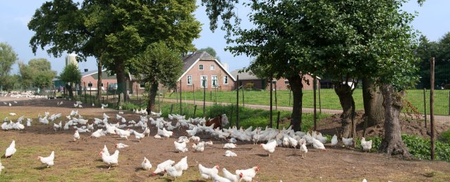 e239b75a-4d06-4892-9893-a31049f08022